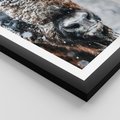 Plakat w ramie 40x50 - Żubr w Krainie Śniegu - żubr, zima - rama czarna