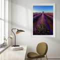 Plakat w ramie 50x70 - Fioletowa Magia - pole, lawendy - rama biała