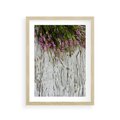 Plakat w ramie 30x40 - Fioletowe Wrzosy - wrzosy, fiolet - rama drewno