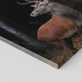 Obraz na płótnie 50x50 - Spotkanie z naturą - jeleń, las