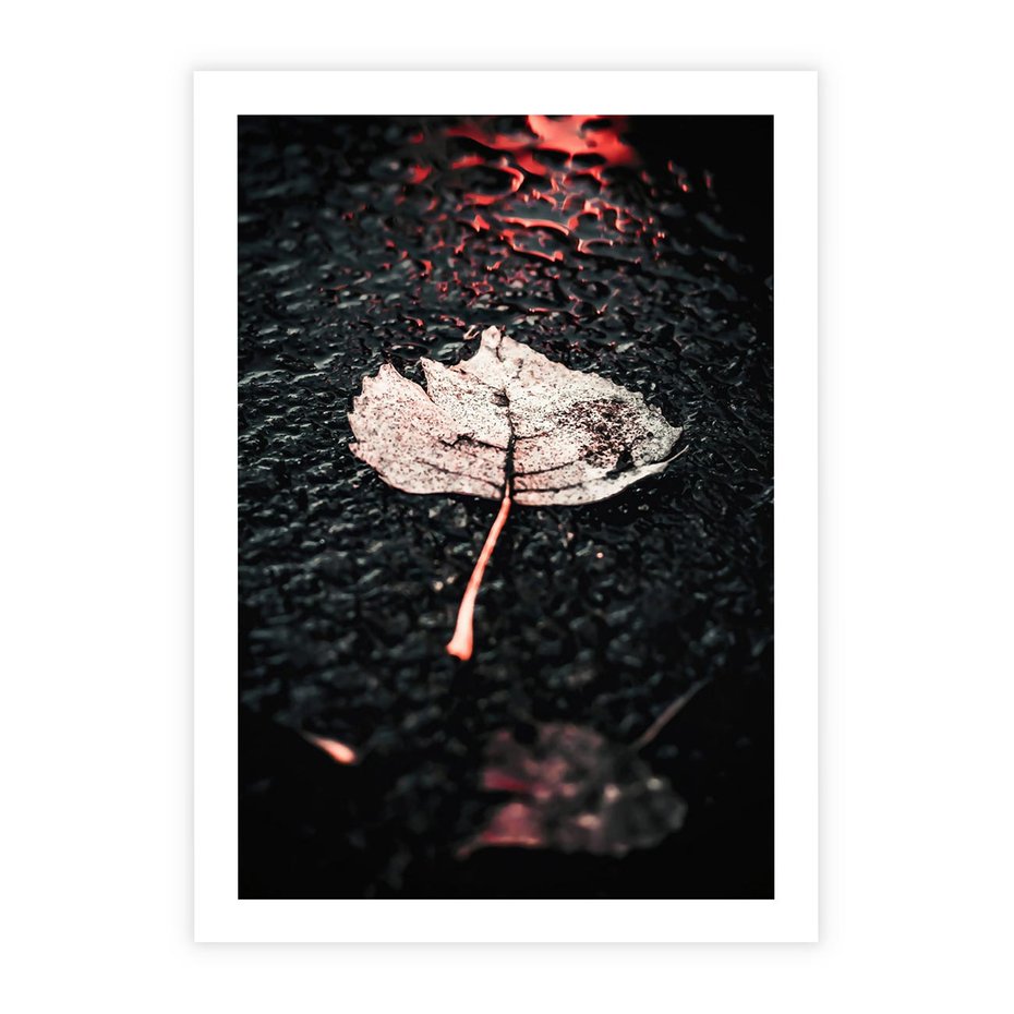 Plakat bez ramy 21x30 - Jesień w Detalu: Liść na Mokrej Drodze - liść, jesień