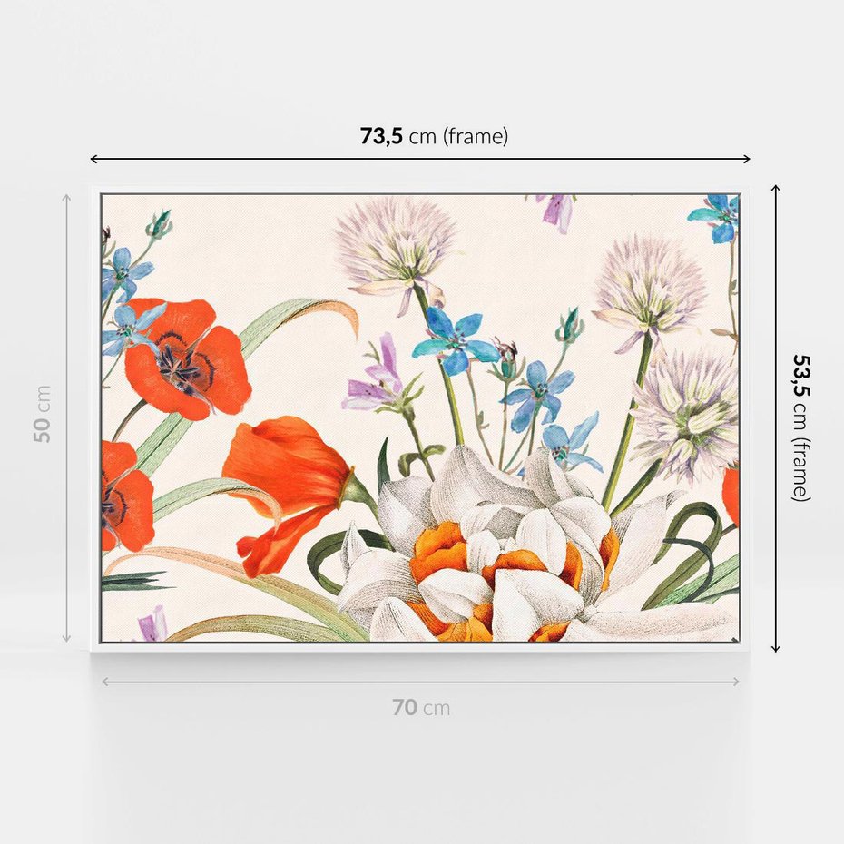 Obraz w ramie 70x50 - Polne Kwiaty - polne kwiaty, na białym tle - rama biała