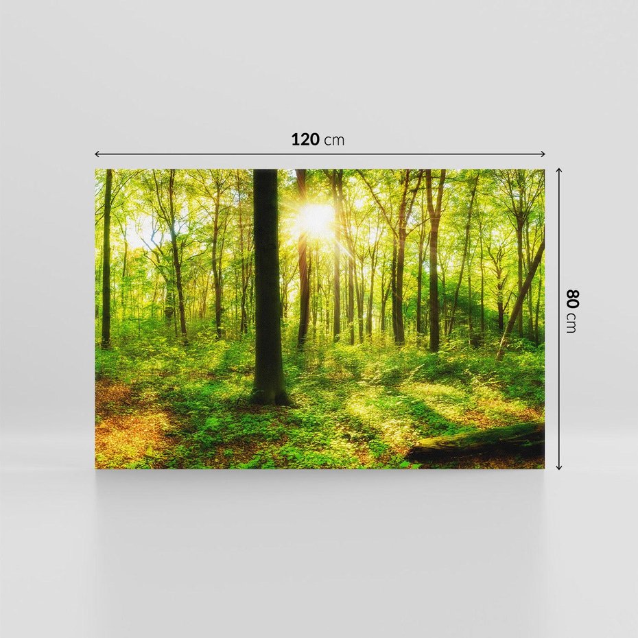 Obraz na płótnie 120x80 - Mistyfikujący las - las, drzewa