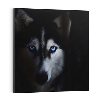 Obraz na płótnie 50x50 - Wilk i husky: siła przyjaźni - wilk, husky