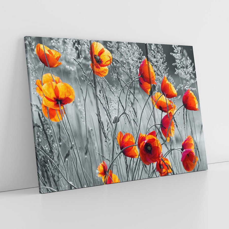 Obraz na płótnie 120x80 - Malownicza łąka - maki, mak