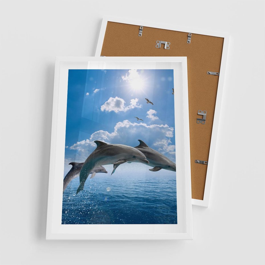 Plakat w ramie 50x70 - Spotkanie z naturą - morze, delfiny - rama biała