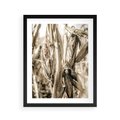 Plakat w ramie 40x50 - Retro Pole Kukurydzy - retro zdjęcie, sepia - rama czarna