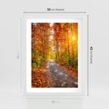 Plakat w ramie 30x40 - Kolorowe drzewa na ścieżce jesieni - las, jesień - rama biała
