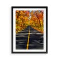 Plakat w ramie 50x70 - Droga przez jesienny las - droga, las - rama czarna