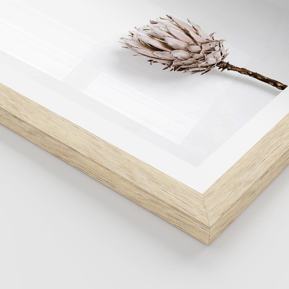 Plakat w ramie 40x50 - Suszona Roślina na Białym Tle - minimalizm, suszona roślina - rama drewno