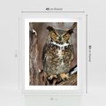 Plakat w ramie 40x50 - Tajemniczy Stróż - sowa, las - rama biała