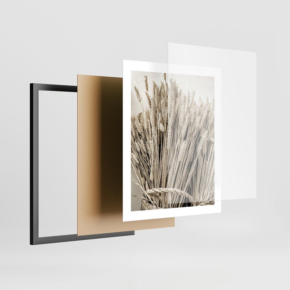 Plakat w ramie 40x50 - Letni Plon - zboże, kłosy zboża - rama czarna