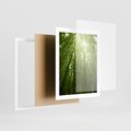 Plakat w ramie 40x50 - Siła Natury - drzewa, las - rama biała