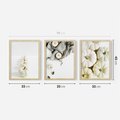 Zestaw obrazy w ramie 30x40 galeria - Białe, dynie, minimalizm - rama drewno