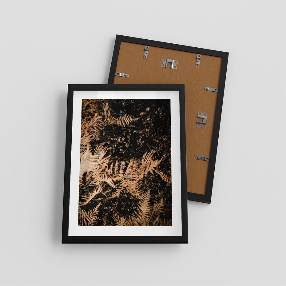 Plakat w ramie 30x40 - Jesienne Paprocie: Kolorowa Paleta Natury - paprocie, jesień - rama czarna