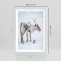 Plakat w ramie 50x70 - Magia Świąt - renifer na śniegu, śnieg - rama biała