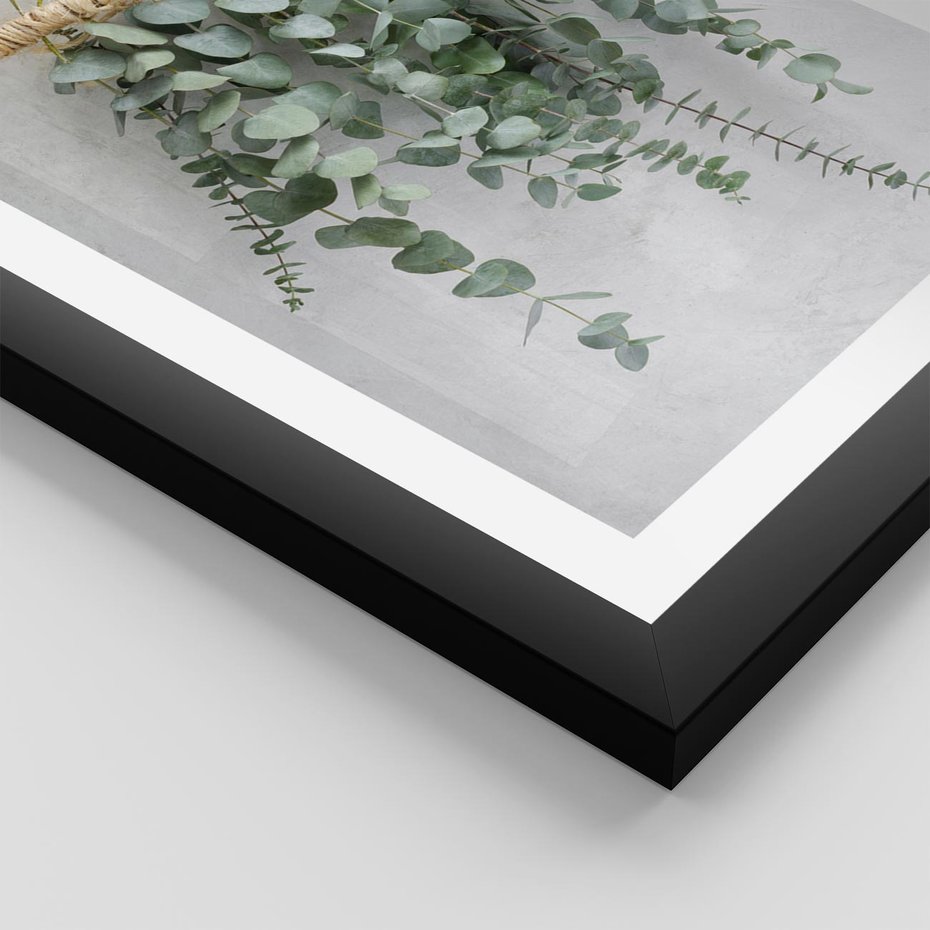 Plakat w ramie 50x70 - Uwodzicielska zieleń eukaliptusa - eukaliptus, zielone - rama czarna