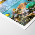 Plakat bez ramy 21x30 - Rafa Koralowa - Podwodne Cuda - rafa, koralowa