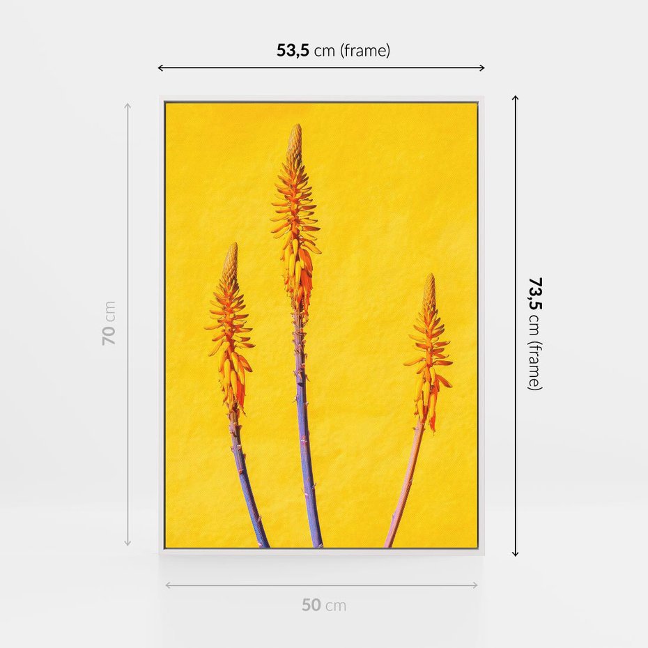 Obraz w ramie 50x70 - Radość Natury - kolor, kwiaty - rama biała