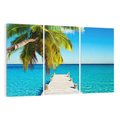 Obraz na płótnie 120x80 - Hawajskie Palmy - palma, morze