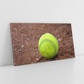 Obraz na płótnie 120x60 - Baseballowa Fuzja Sportu - baseball, piłka