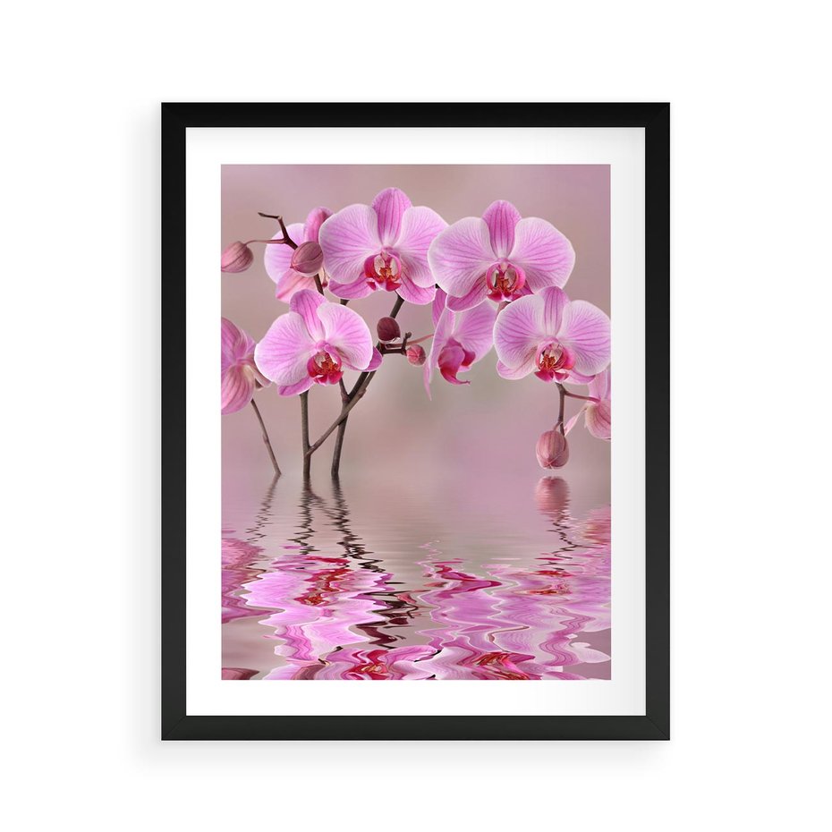 Plakat w ramie 40x50 - Relaksacyjne spa w otoczeniu storczyka - spa, storczyk - rama czarna
