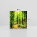 Obraz na płótnie 30x30 - Współistnienie z naturą - drzewa, las