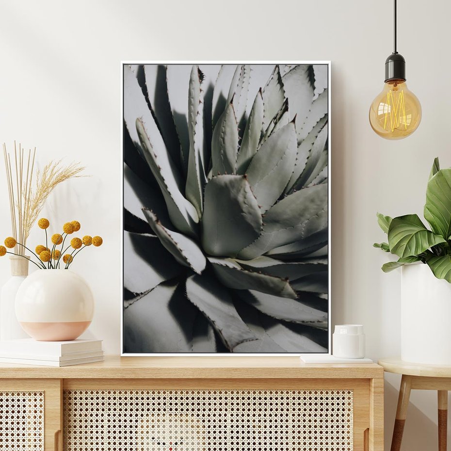 Obraz w ramie 80x120 - Sukulenty wśród kaktusów - sukulenty, kaktusy - rama biała