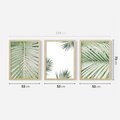 Zestaw obrazy w ramie 50x70 galeria - Liście, palma, tropikalne - rama drewno