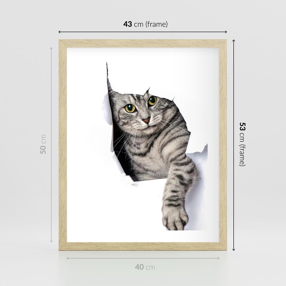 Plakat w ramie 40x50 - Tajemniczy kot i jego świat - kot, dziura - rama drewno