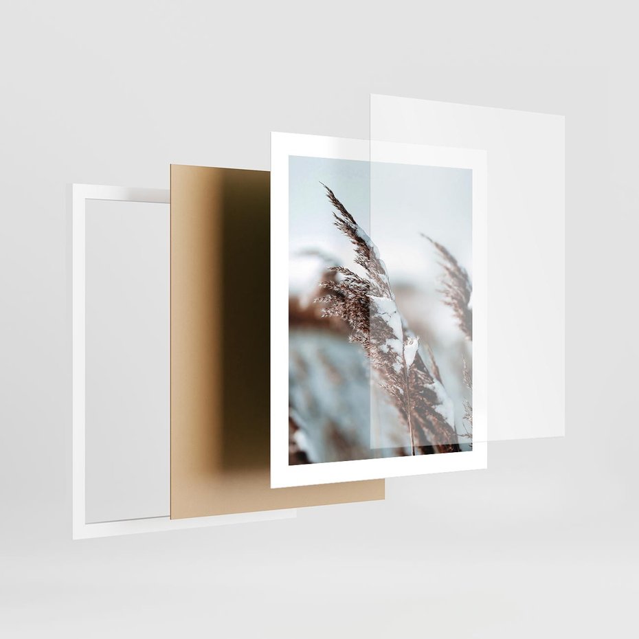 Plakat w ramie 40x50 - Zima na Suchych Trawach - suche trawy, śnieg wysokich na trawach - rama biała