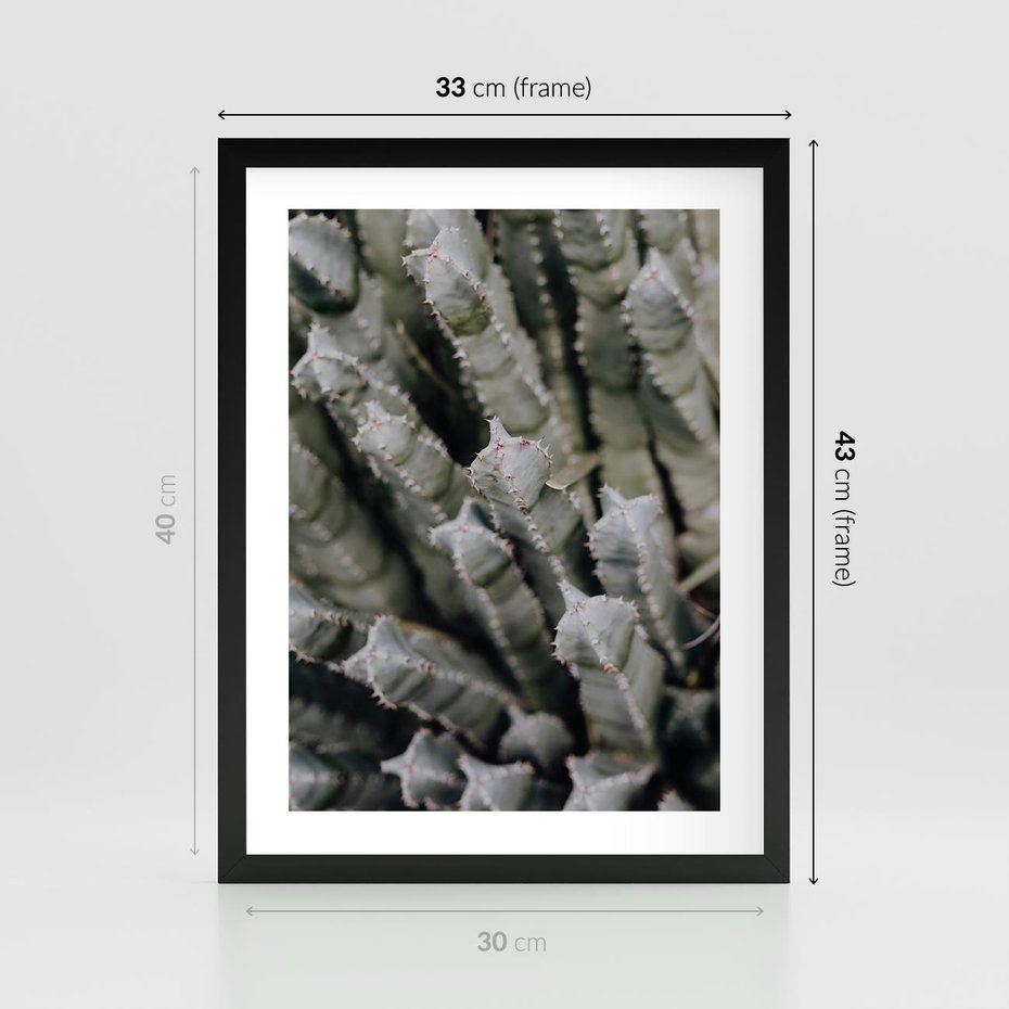 Plakat w ramie 30x40 - Oaza Natury - sukulenty, kaktusy - rama czarna
