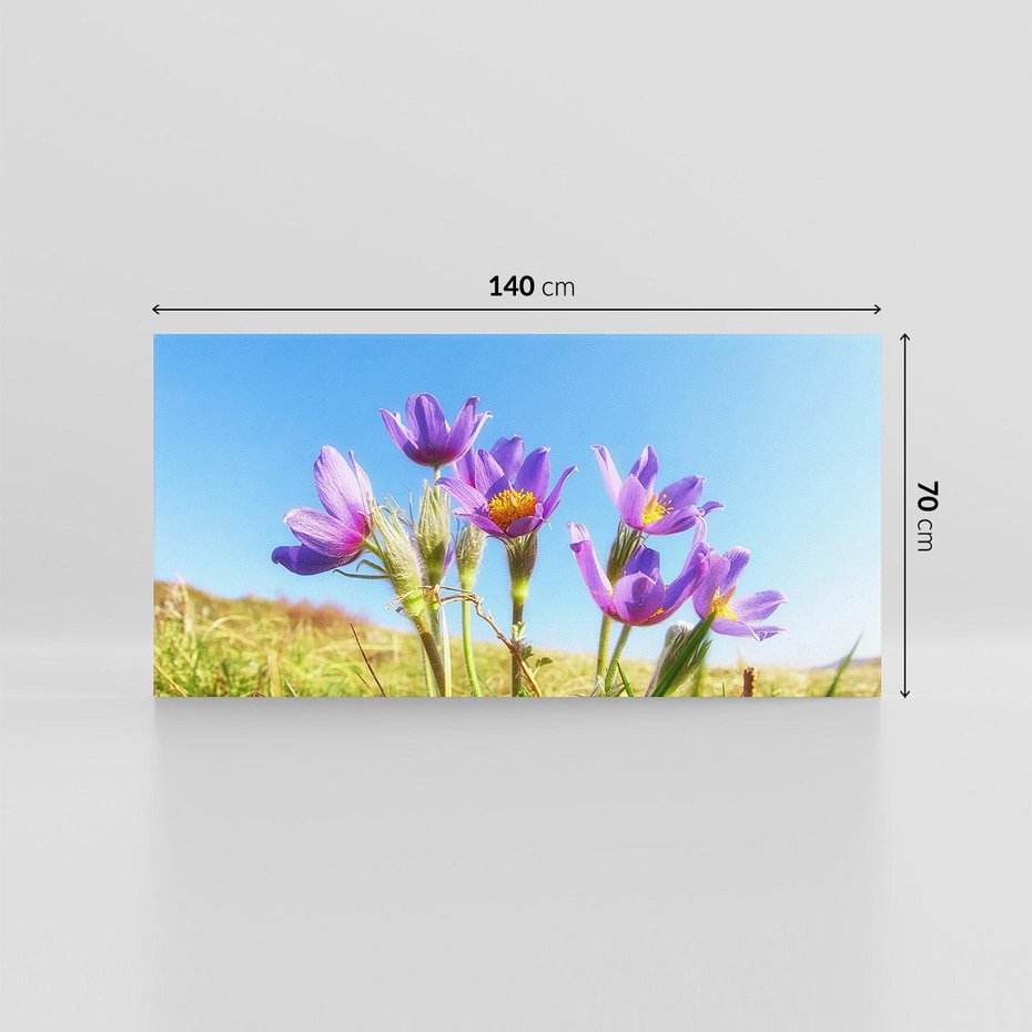 Obraz na płótnie 140x70 - Kwiatowa siła łąki - kwiaty, łąka