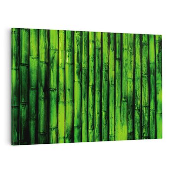 Obraz na płótnie 70x50 - Bambusowy urok zielonej harmonii - bambus, zieleń