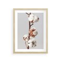 Plakat w ramie 30x40 - Spokojna Gałązka Bawełny - gałązka bawełny, prosta spokojna fotografia - rama drewno