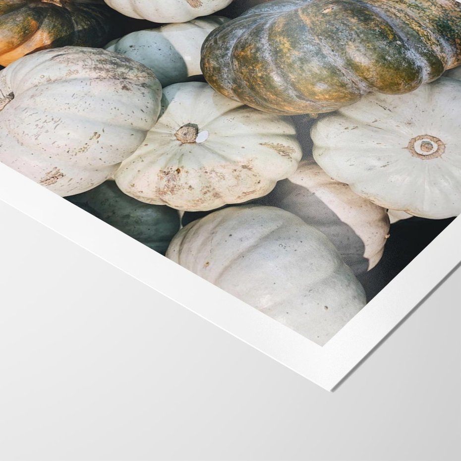 Plakat bez ramy 30x40 - Minimalizm Jesieni - dynie, białe