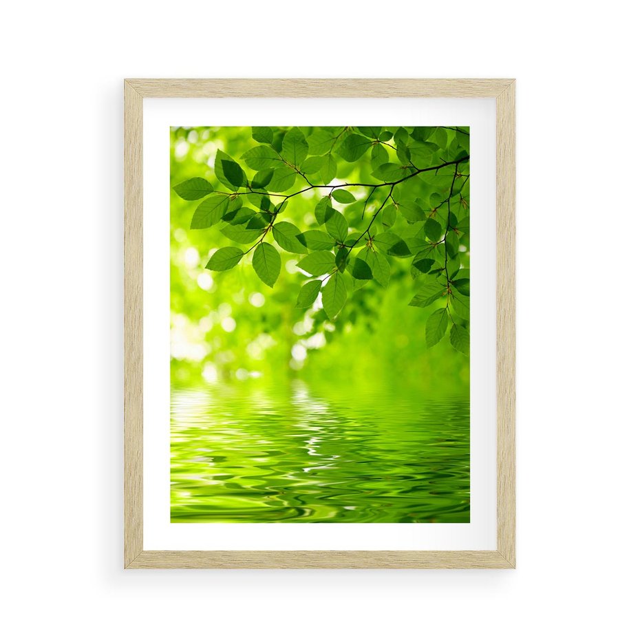 Plakat w ramie 40x50 - Liście w Wodzie - liście, woda - rama drewno