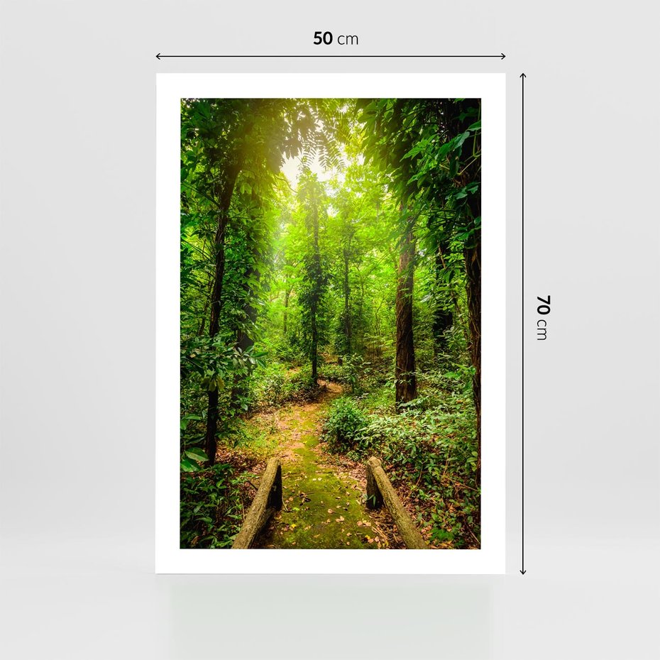 Plakat bez ramy 50x70 - Współistnienie z naturą - drzewa, las