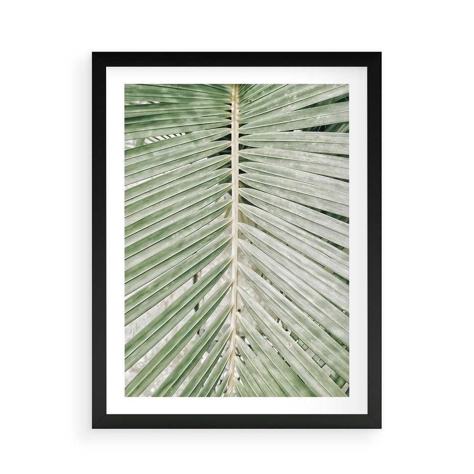 Plakat w ramie 50x70 - Jasna Zieleń Palmy - liść palmy, zbliżenie - rama czarna