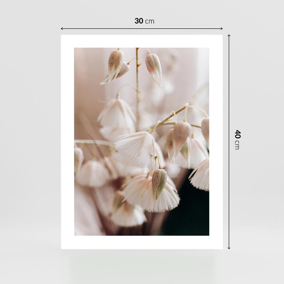 Plakat bez ramy 30x40 - Suszona Delikatność - suszone kwiaty, rośliny