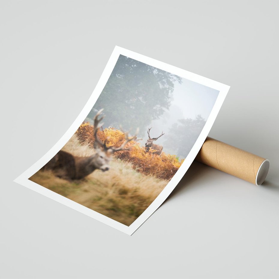 Plakat bez ramy 21x30 - Malownicza Harmonia - jelenie, jesień