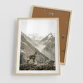 Plakat w ramie 50x70 - Dzikie Piękno: Kozica w Malowniczym Górskim Scenerii - kozica, góry - rama drewno