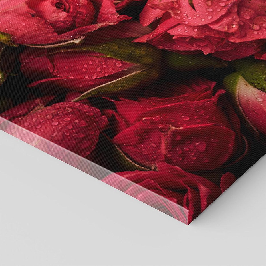 Obraz na płótnie 150x50 - Piękno róż: delikatność natury - róże, kwiaty