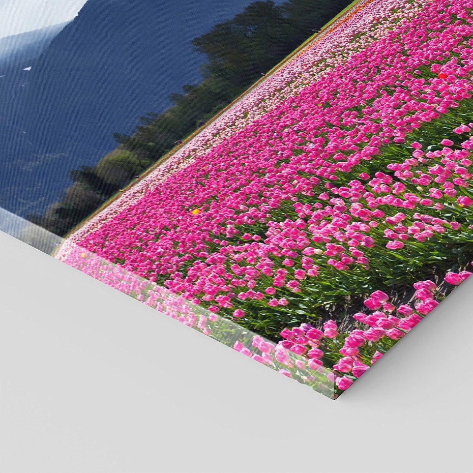 Obraz na płótnie 120x60 - Tulipany w malowniczym krajobrazie" - tulipany, krajobraz