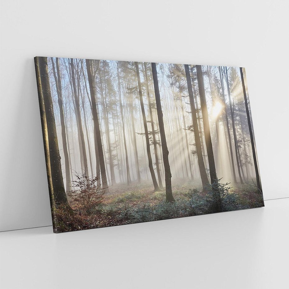 Obraz na płótnie 100x70 - Magiczne zaklęcie: Las pełen drzew - las, drzewa