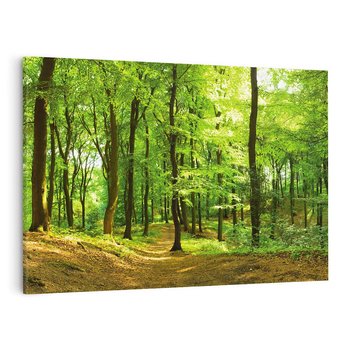 Obraz na płótnie 100x70 - Mistyka leśnych drzew - las, drzewa