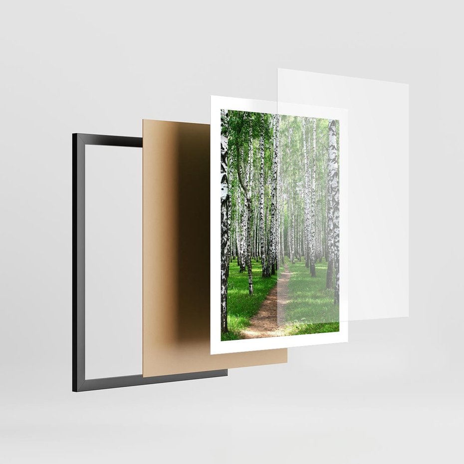 Plakat w ramie 50x70 - Bajkowy las pełen brzóz - las, brzozy - rama czarna