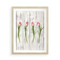 Plakat w ramie 50x70 - Kwintesencja Piękna - kwiaty, tulipany - rama drewno