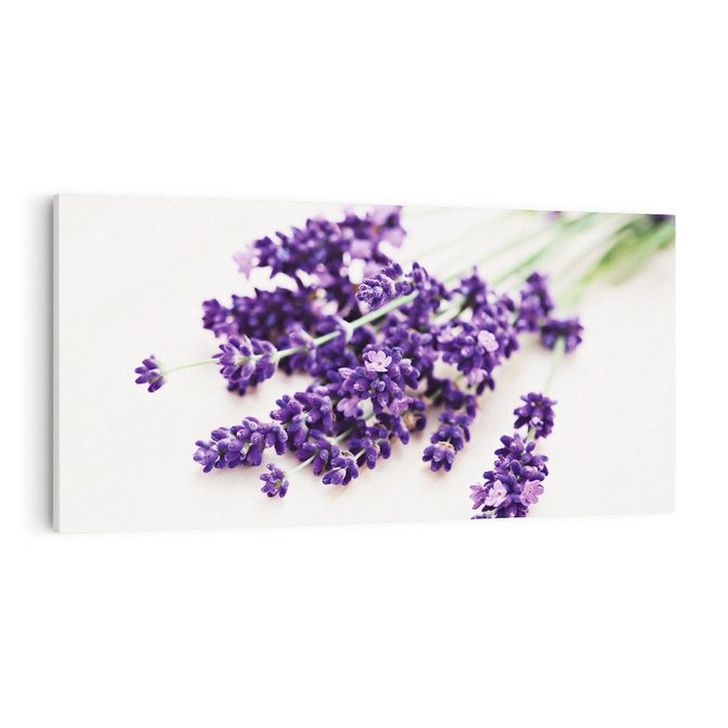 Obraz na płótnie 100x50 - Urok lawendowych kwiatów - lawenda, kwiaty