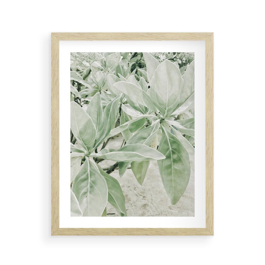 Plakat w ramie 40x50 - Jasnozielone Liście w Kompozycji - liście, jasna zieleń - rama drewno